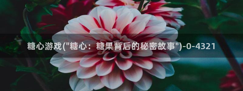 糖心vlgo免费进入：糖心游戏(\