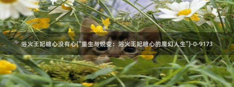 糖心最新地址：浴火王妃糖心没有心(\