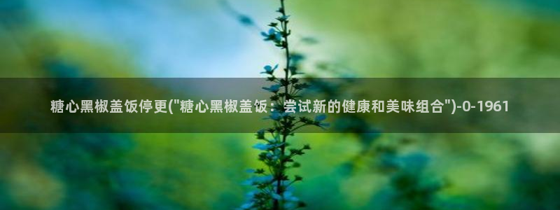 糖心vipg：糖心黑椒盖饭停更(\