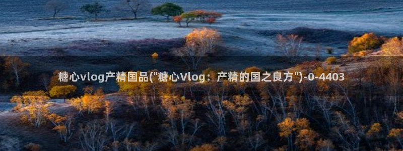 糖心ivog：糖心vlog产精国品(\