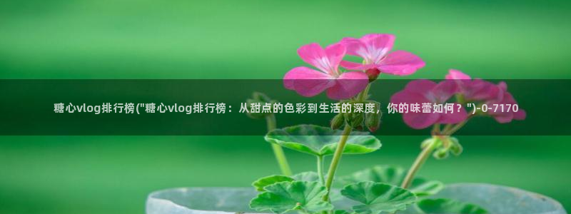 糖心b：糖心vlog排行榜(\