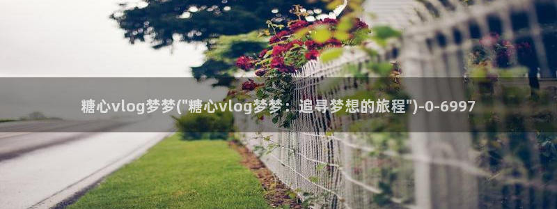 糖心vlgo爱液